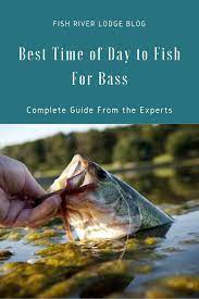 Best Time Of Day To Fish For Bass Complete Guide From The Experts In 2020 Bass Fishing Fish Best Bass Bait