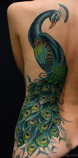 A peacock tattoo is quite an extravagant layout that many girls want to be etched in their skin. 60 Classy Peacock Tattoo On Back