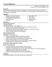 Professional Resume Examples Livecareer