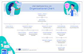 12+ Organizational Chart Examples & Templates - Venngage