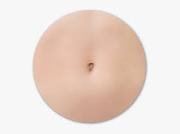 Check spelling or type a new query. Belly Button Surgery Surrey Outie Belly Button Png Transparent Png Transparent Png Image Pngitem