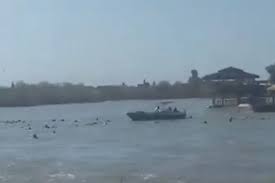 mosul ferry disaster: death toll from