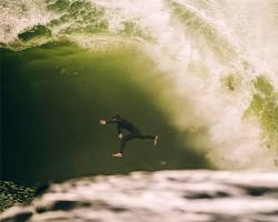 Image of surfer riding a wave with a shark casually swimming nearby