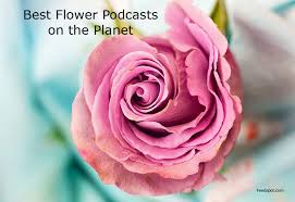 Check spelling or type a new query. Top 15 Flower Podcasts You Must Follow In 2021
