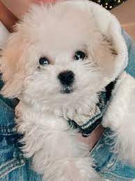 Selamat datang di web rumah budidaya, tempat beragam macam budidaya yang akan disajikan dalam web ini secara rinci dan detail. Ghaitsa Ghaitsaalia8 Profil Pinterest