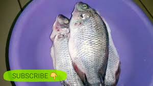Mapishi ya mchemsho wa ndizi na. Download Mchemsho Wa Samaki Na Viazi Mviringo Kwa Afya Zaidi In Mp4 And 3gp Codedwap