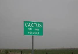 Since cacti as a general rule grow in dry places, they take up water through their roots very quickly and efficiently. Cactus Doing Well With Refugees Kvii