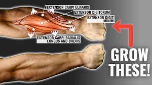 Forearm exercises help strengthen your wrists and arms, which can improve daily activities, such as opening a jar, and performance in sports, such as golf. How To Get Bigger Forearms Fast 3 Science Based Tips Youtube