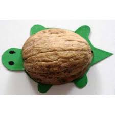 Du tableau bricolage noix sur pinterest noël toi même ! Fabriquer Une Tortue Coquille De Noix Tete A Modeler