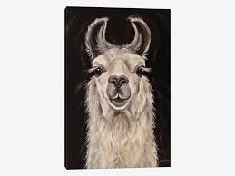Llama Blanca Canvas Art By Hippie Hound Studios Icanvas