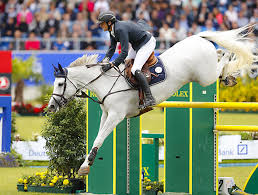 The following 48 files are in this category, out of 48 total. 17 27 D6519b Gregory Wathelet Bel Coree Westf Jumping Springsport Equestrian Disciplins Weg Jacques Toffi Fotograf Photographer