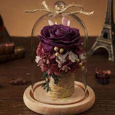 The glass dome with base can be used to display your favorite decorative items. Preserved Rose In Glass Dome From Apollo Box Preserved Roses Arrangement How To Preserve Flowers Glass Domes