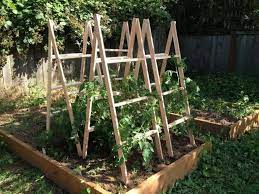 These extendible tomato stakes also help to conserve water, keep foliage dry to prevent disease, provide extra support to the plant and eliminate evaporation and runoff. Pin On Eko Vrt