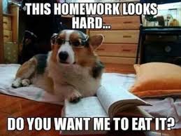 Pin On Too Funny