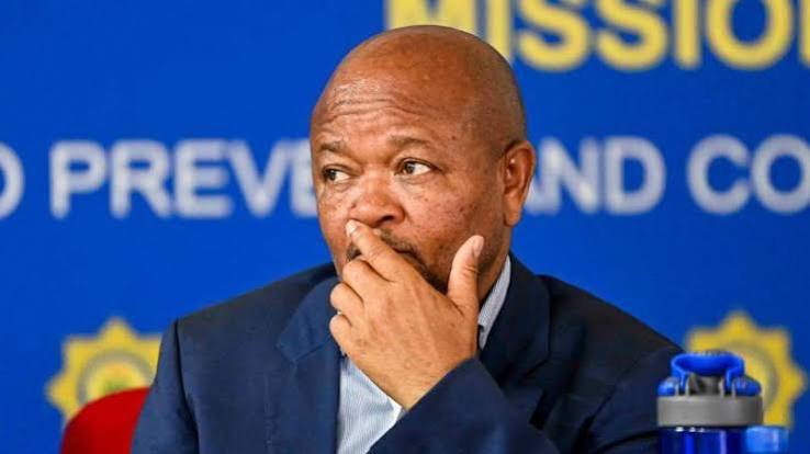 Senzo Mchunu: Nhlanhla Mkhwanazi accuses South African police minister of links to criminal gangs - BBC News
