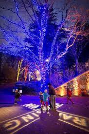Christmas Light Displays Across The Country That Are Absolutely Breathtaking Christmas Light Displays Christmas Light Show Best Christmas Light Displays