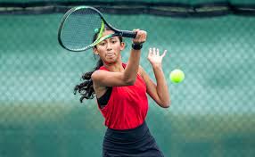 Image result for Tarenna leonardii