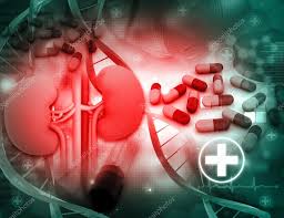 Lithium can also affect the ability of the body to concentrate urine, which is the mechanism behind the excessive thirst and drinking that there should be no permanent damage to the kidney if there are no episodes of lithium toxicity. Lithium And The Kidneys What Every Nephrologist Should Know Renal Fellow Network