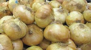 How to grow onions in the home garden? Seven Ways To Sell More Sweet Vidalia Onions Produce Business