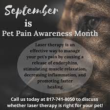 North Texas Veterinary Clinic Home Facebook