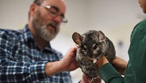At Bergen County Zoo, animals are small. Keeping them healthy is big.