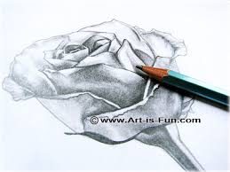 How To Draw A Rose Learn To Draw Rose Pencil Drawings Art Is Fun Draw out the outlines of the stem of the rose. to draw rose pencil drawings