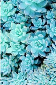 Pin Op Turquoise