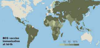 It is the only approved vaccine againsttuberculosis. Tuberculosis Tb Vaccine Too Dangerous For Babies With Aids Virus Study Says The New York Times