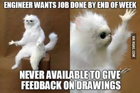 Life Of An Engineer In Training Persian Cat Room Guardian Funny Memes