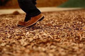 You can easily find free mulch in your back yard, in your street, or even in the city. Mulch And Wood Chip Delivery For Sale In Toronto Tree Doctors Inc
