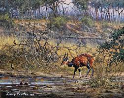 Bushbuck And Swainson S Francolin Mana Pools Zimbabwe Oil Painting 23 X 30cm Art Africa Bushbuck Francolin Manapoolsnatio Oil Painting Art Painting