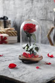 وردة ايلوبا روز احمر داخل فازة زجاجية table decorations decor home decor