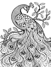 Dibujos Para Colorear De Animales Dificiles