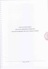 công ty cổ phần damsan - báo cáo tài chính riêng đã kiểm toán