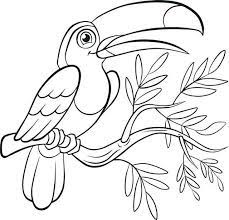 He is a toucan who only speaks in spanish. Fun Toucan Bird Coloring Page Bird Coloring Pages Animal Coloring Pages Cartoon Coloring Pages