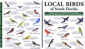 Local Birds Quick Guides To Nature Science Backyard Birds Bird Identification Wild Birds