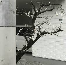 Discover (and save!) your own pins on pinterest. K U M O Aesthetic Japan Dark Korean Aesthetic Grey Aesthetic