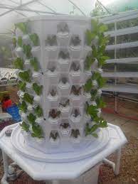进口水培水耕设备 生态旋转雾培种植器 家庭种菜机 无土栽培设备 淘宝网 mini garden vertical garden hydroponics