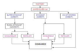 Colgate Organizational Chart Final Project On Colgate