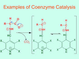 It is sold in the united states as a dietary supplement. Cofactors And Coenzymes Ppt Download