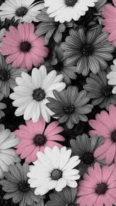 Check spelling or type a new query. Closed Demigirl Flower Phone Backgrounds For
