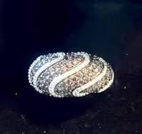 2.04tcw Mocha & White Diamond Simulant Rhodium Plated Sterling Silver Dome  Ring Sz10