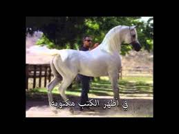 قصيدة الخيل للشاعر عبدالرحمن الجنوبي Youtube