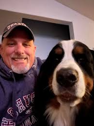 North Idaho Bernese Mt Dogs