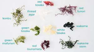 Different Varieties Of Edible Seaweed For Making Seaweed Salad Including Konbu Wakame Agar Funori And Tosa Seaweed Salad Recipes Salad Recipes Seaweed Salad