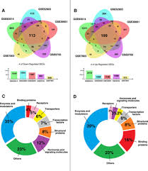Cervical cancer treatment modalities include surgery, radiation therapy, chemotherapy and targeted therapy. Potential Biomarkers And Therapeutic Targets In Cervical Cancer Insights From The Meta Analysis Of Transcriptomics Data Within Network Biomedicine Perspective