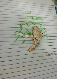 40 realistic animal pencil drawings. Animal Drawings Creative Pencil Easy Drawing Ideas Novocom Top