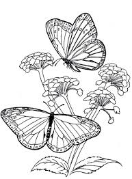 Pin On Printables