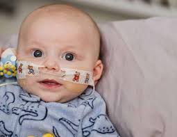 2023 Annual Academic Report by CCAcademicAffairs