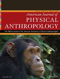 Hominin Vertebrae And Upper Limb Bone Fossils From Sterkfontein Caves South Africa 1998 2003 Excavations Pickering 2019 American Journal Of Physical Anthropology Wiley Online Library